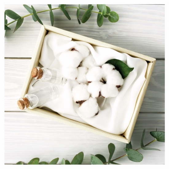 Absorbante Cotton protection long 10 buc