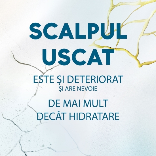 Balsam anti-mătreață pentru scalp Derma X Pro, cu aloe, 145ml