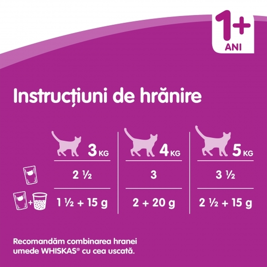 Hrană umedă pentru pisici adulte, 4x100g, selecție de pasăre