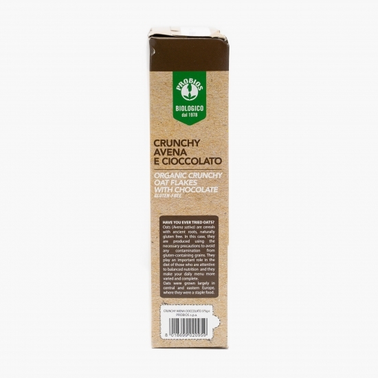 Fulgi crocanți de ovăz și ciocolată eco 375g