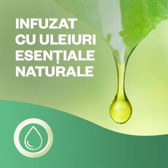 Rezervă odorizant de cameră spray automat fără aerosoli Buchet de Iasomie 228ml