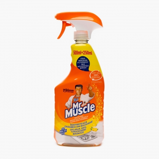 Dezinfectant pentru bucătărie 750ml