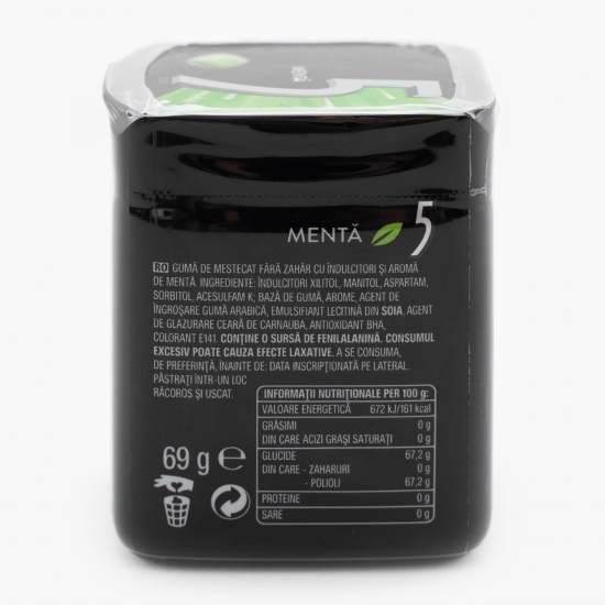 Gumă de mestecat cu aromă de mentă 69g