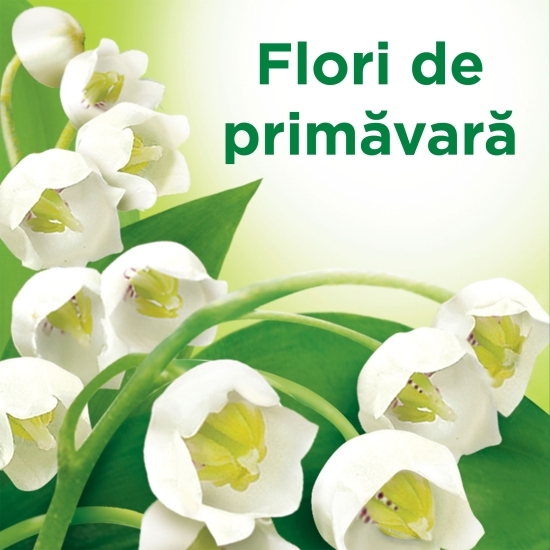 Spray geamuri Floral Fiesta 0.5l