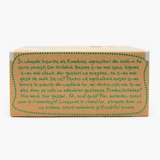 Dovlecel patison verde România 1 buc, minim 400g