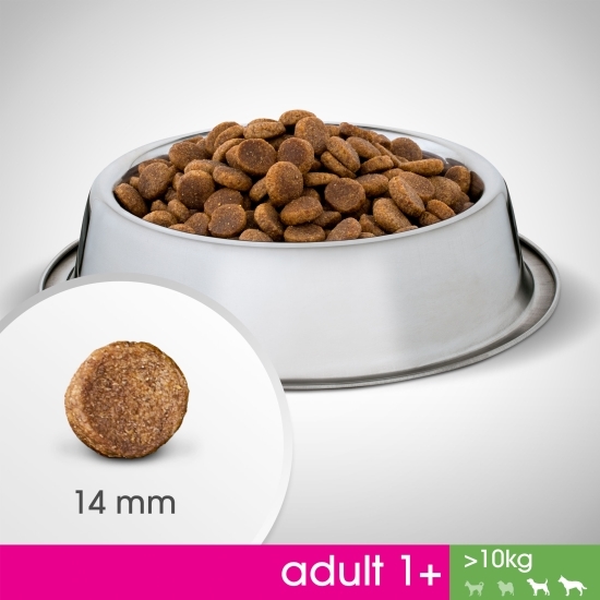 Hrană uscată pentru câini adulți de talie medie, 6kg, cu pui 