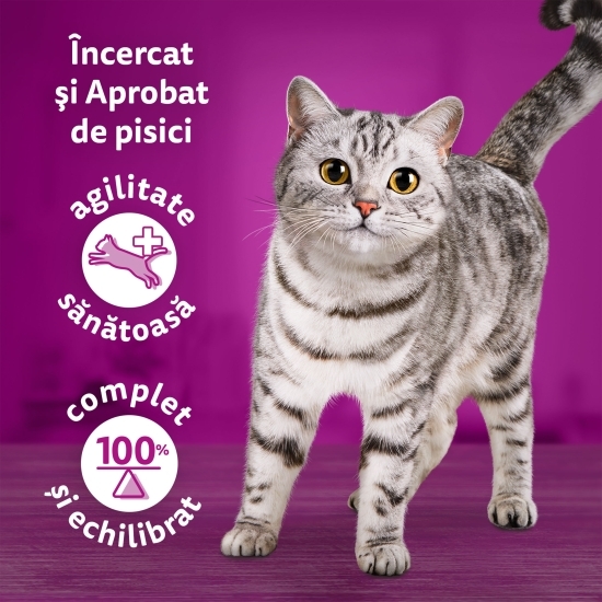 Hrană umedă pentru pisici adulte 12x85g, Tasty Mix cu vită, pasăre și legume, somon și morcov, pui și curcan, pui și cod