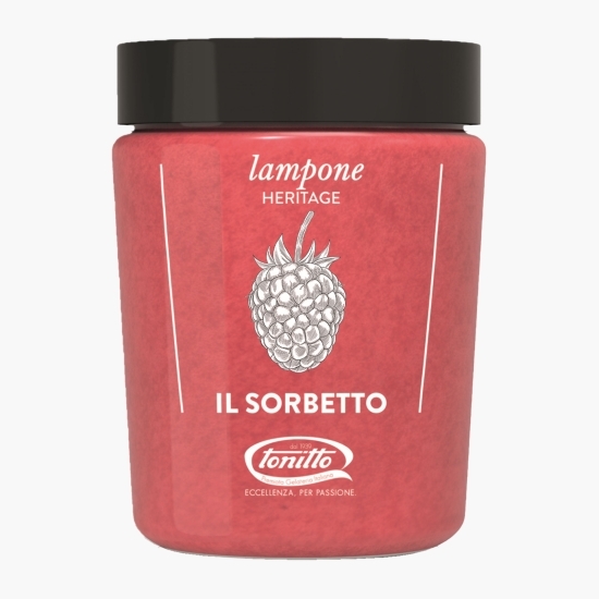 Sorbet de zmeură 500ml