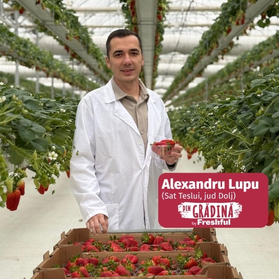 Căpșune de Teslui 250g