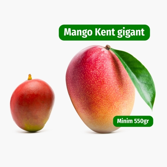 Mango Kent gigant eco, minim 550g