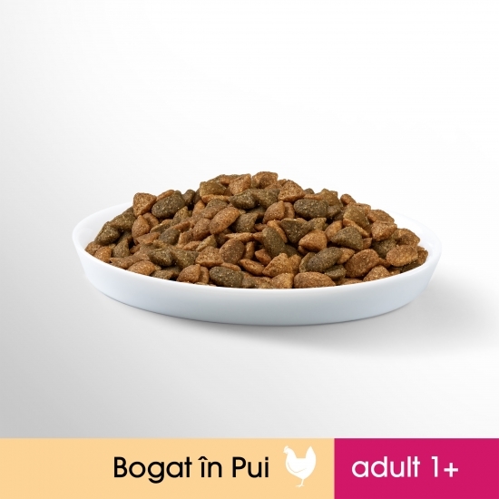 Hrană uscată pentru pisici adulte, 7kg, cu pui
