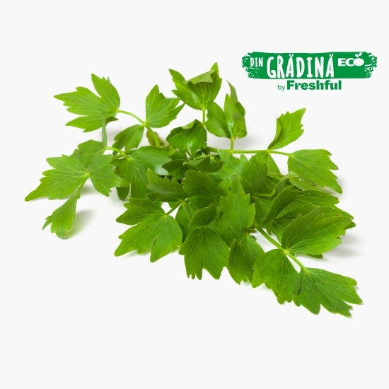 Leuștean eco 1 legătură