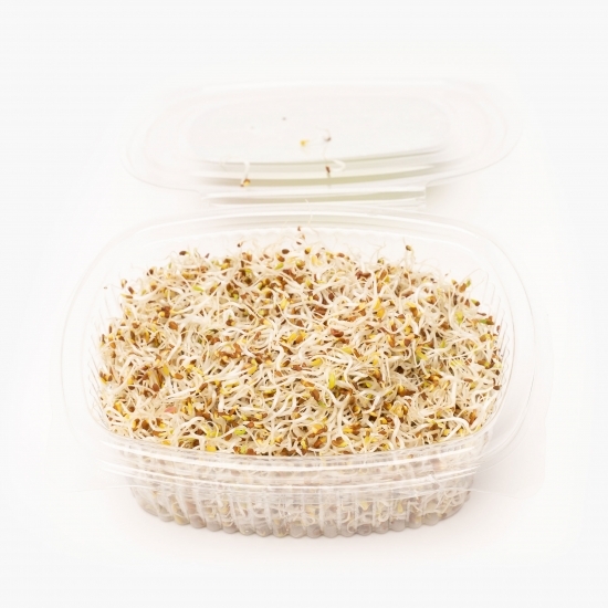 Germeni lucernă eco 80g