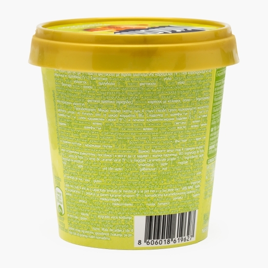 Înghețată Pistachio & Almonds 420ml (313g)
