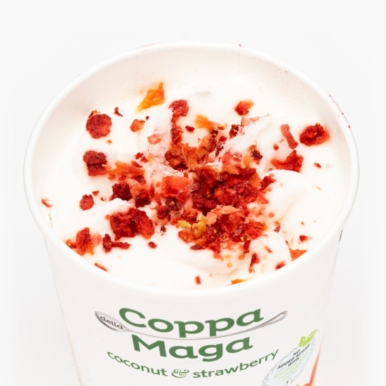 Înghețată vegană cu cocos și căpșuni 300g