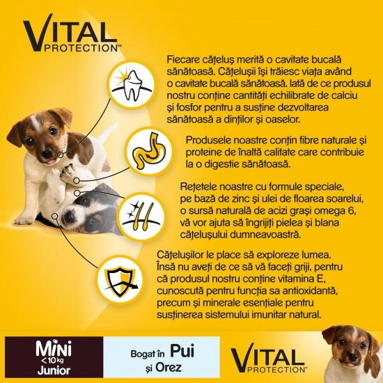 Hrană uscată pentru câini juniori de talie mică, 400g, cu pui și orez Vital Protection