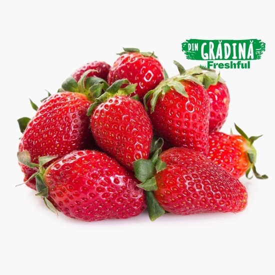 Căpșune eco România 250g