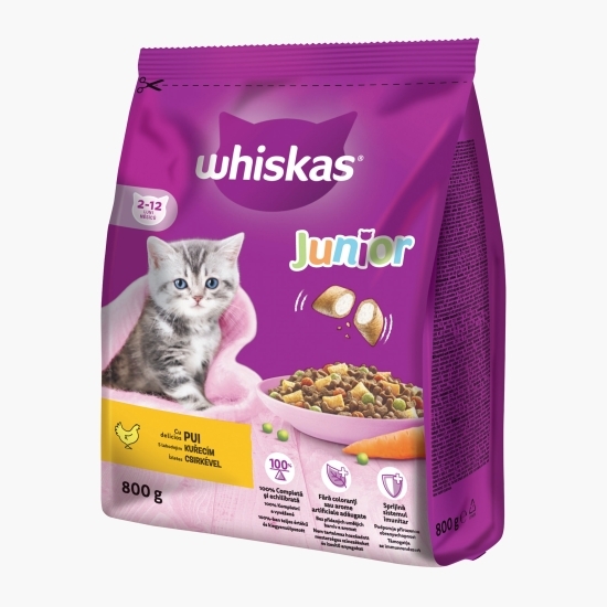 Hrană uscată pentru pisici junior, 800g, cu pui 