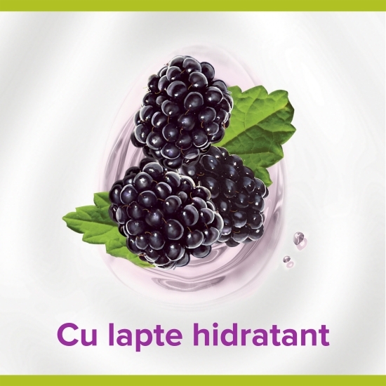 Gel de duș Smoothies, Velvety Blackberry 0.5l