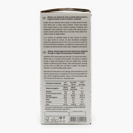 Suc natural de mere și mentă 3l