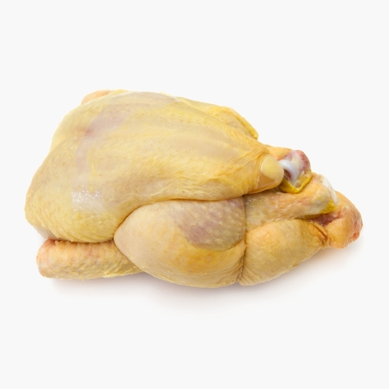 Bibilică 2kg