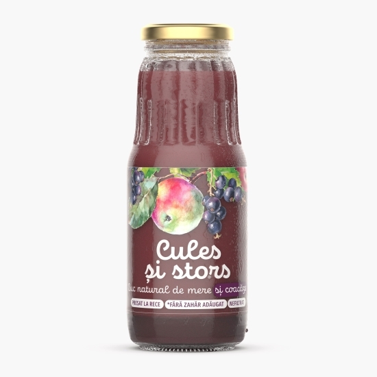 Suc natural de mere şi coacăze 0.3l