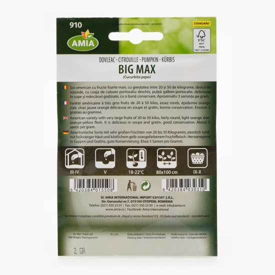 Semințe de dovleac big max 2g