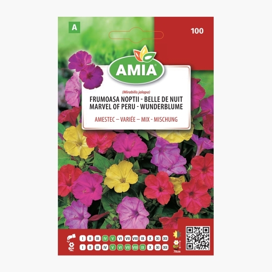 Semințe Frumoasa nopții - amestec culori 3g
