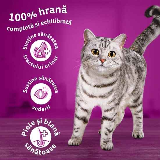 Hrană uscată pentru pisici adulte, 300g, cu pui