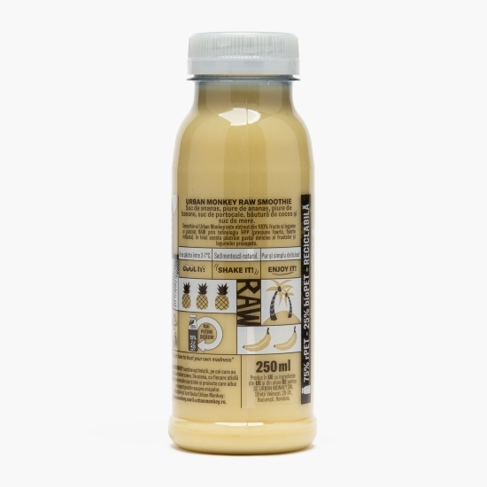Raw smoothie Pina Coolada 0.25l