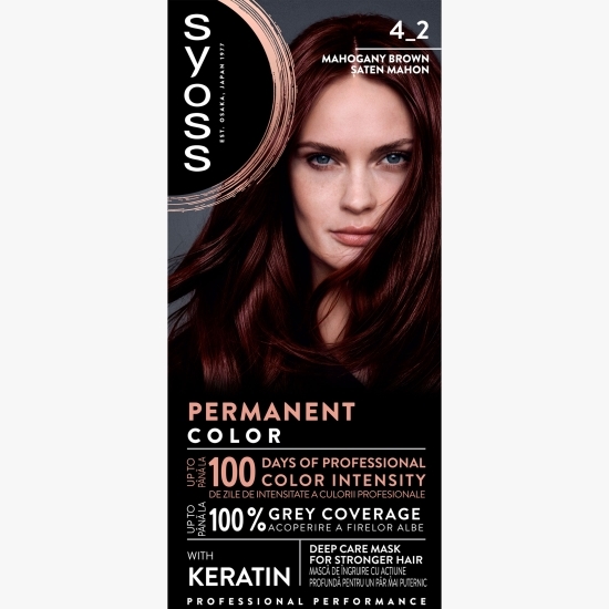 Vopsea de păr permanentă Professional Performance, 4-2 șaten mahon, 115ml