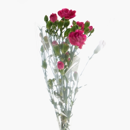 Buchet 7 garofițe, diverse culori