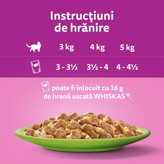 Hrană umedă pentru pisici adulte, 40 x 85g, Selecții de carne în aspic 