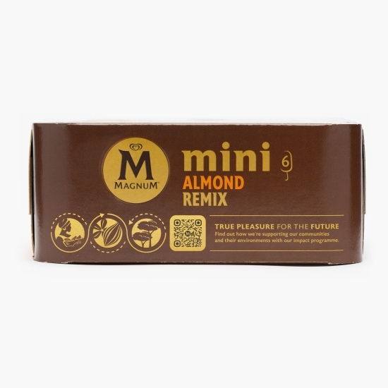 Mini înghețată cu migdale și înghețată cu vanilie 6x55ml