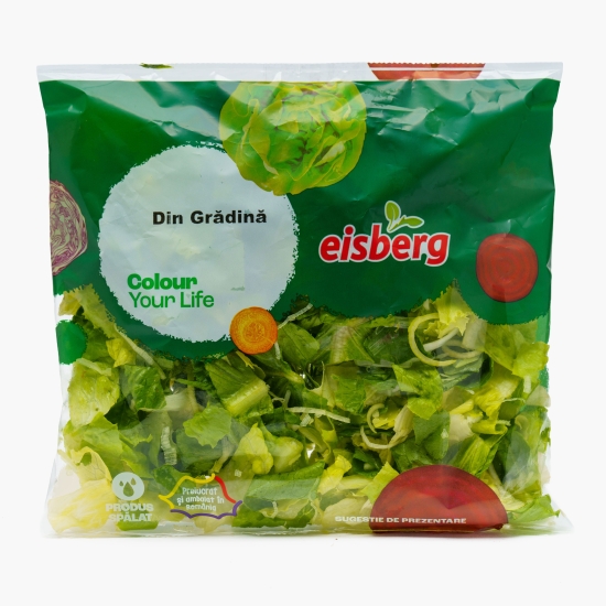Salată din Grădină 180g
