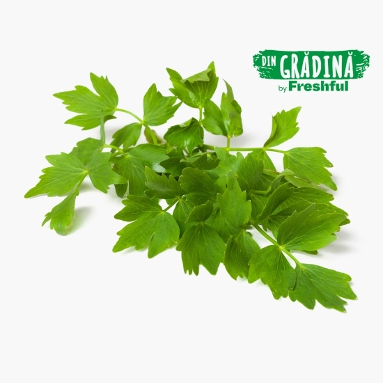 Leuștean eco 1 legătură