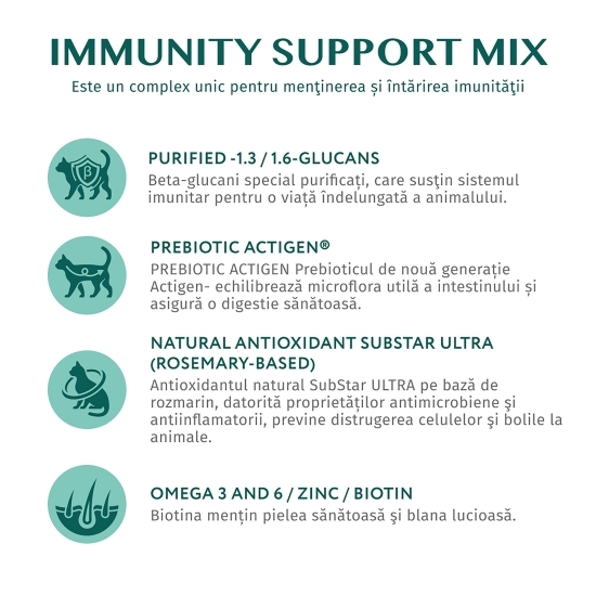 Hrană umedă pentru pisici adulte 85g, iepure în jeleu de morcovi