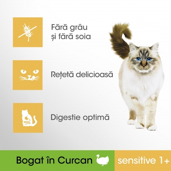 Hrană uscată pentru pisici sensibile adulte, 7kg, de curcan