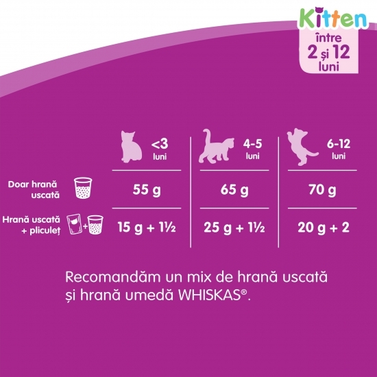 Hrană uscată pentru pisici junioare, 300g, cu pui