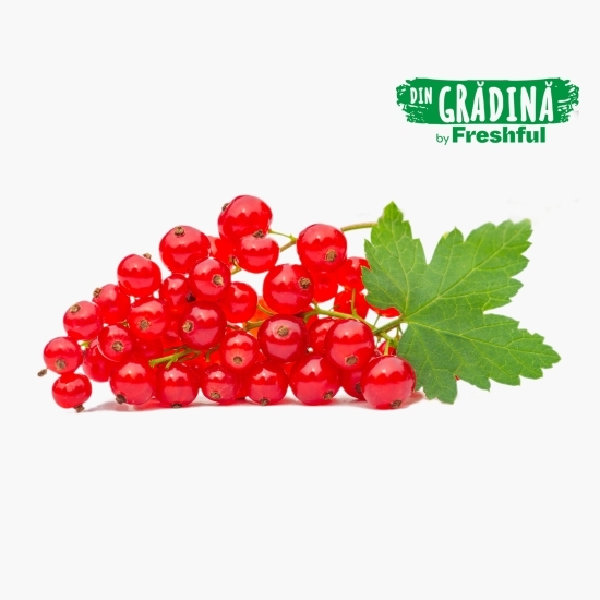 Coacăze roșii eco, România 125g