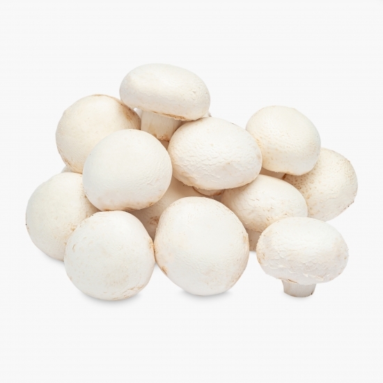 Ciuperci champignon 1kg