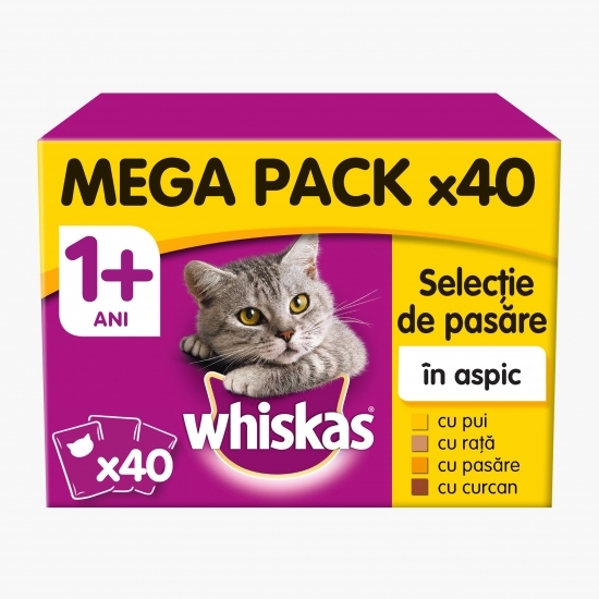 Hrană umedă pentru pisici adulte, 40x100g, cu carne de păsare în aspic