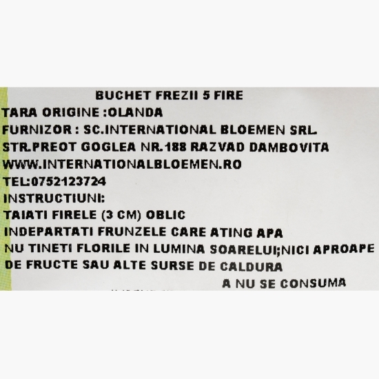Buchet frezii, 5 fire, diverse culori