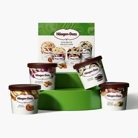 Înghețată multipack Favorite Selection 4x95ml