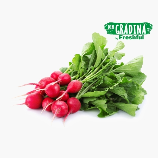 Ridichi roșii eco, 1 legătură, Bioferma Niculești