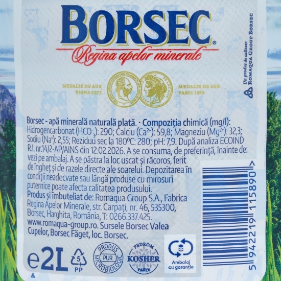 Apă minerală naturală plată 2l