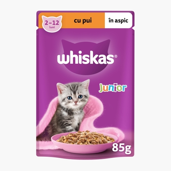 Hrană umedă pentru pisici junior, 85g, cu pui în aspic 