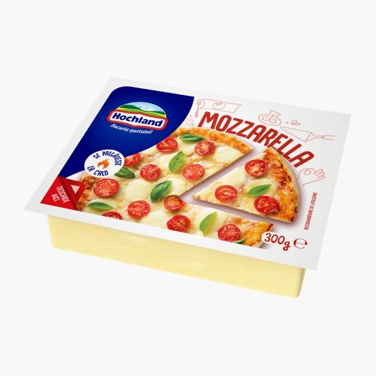 Mozzarella bloc 300g