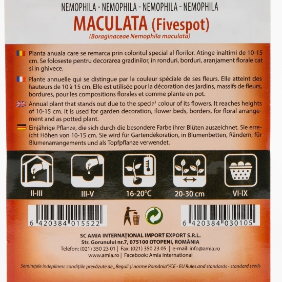 Semințe nemophila albă cu pete violet  2.5g