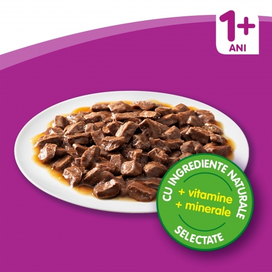 Hrană umedă pentru pisici adulte, 12x100g, selecții clasice în sos de carne